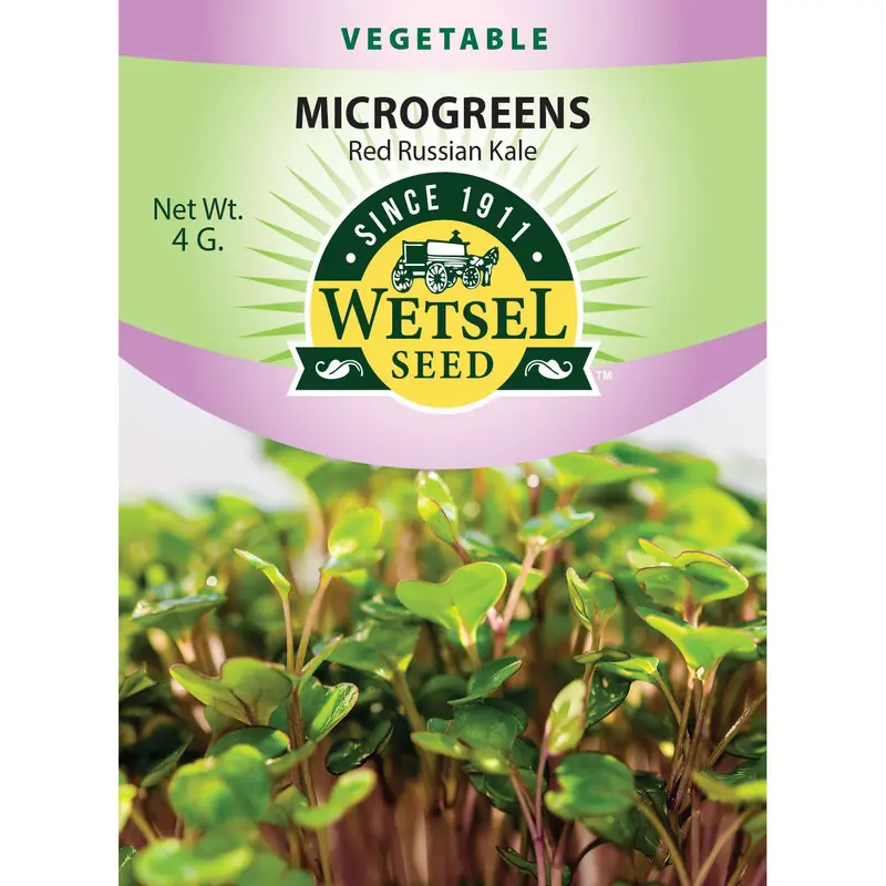 Wetsel Seed Microgreens Red Russian Kale Seed
