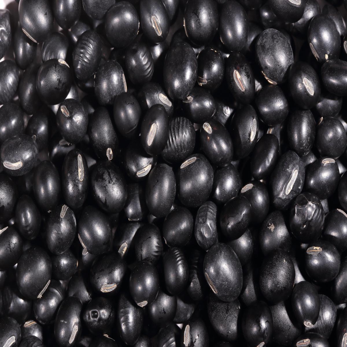 25 Sweet BLACK JET SOYBEAN Edamame Bean Glycine Max Vegetable Legume Seeds