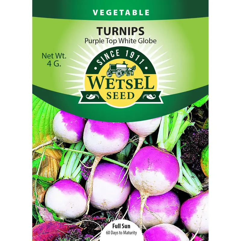 Wetsel Seed Turnip Purple Top White Globe Seed