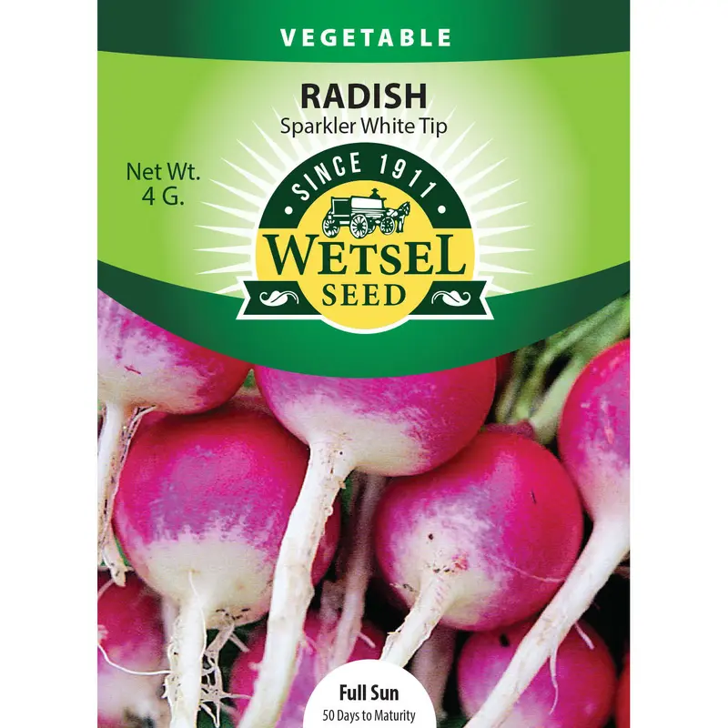 Wetsel Seed Radish Sparkler White Tip Seed