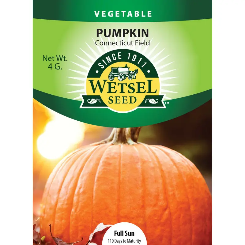 Wetsel Seed Connecticut Field Pumpkin Seed