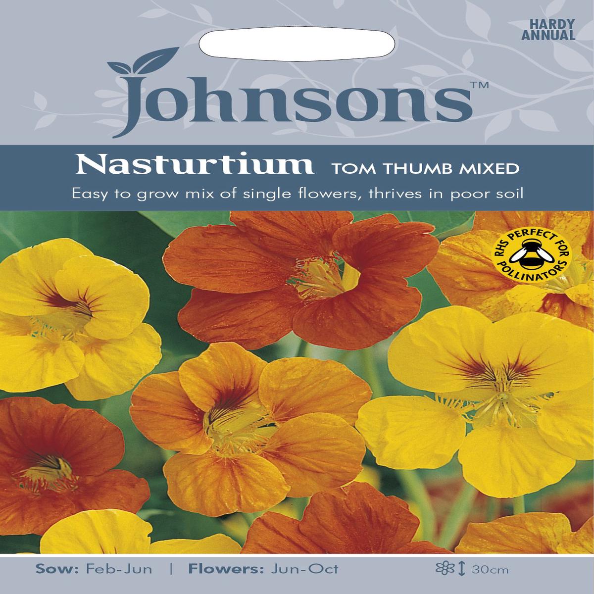 NASTURTIUM Tom Thumb Mix **