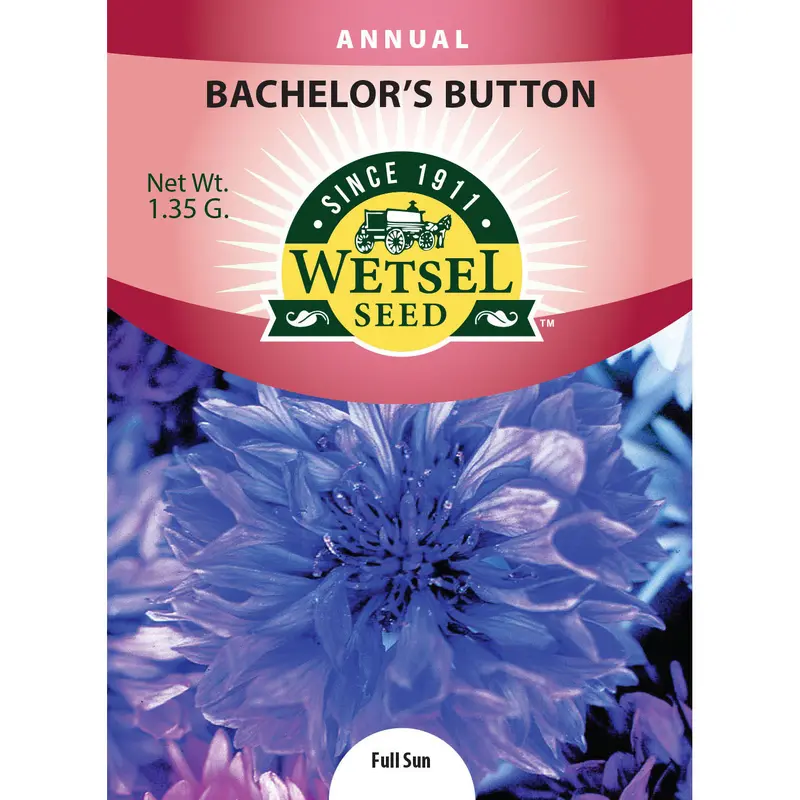Wetsel Seed Bachelor Buttons Seed