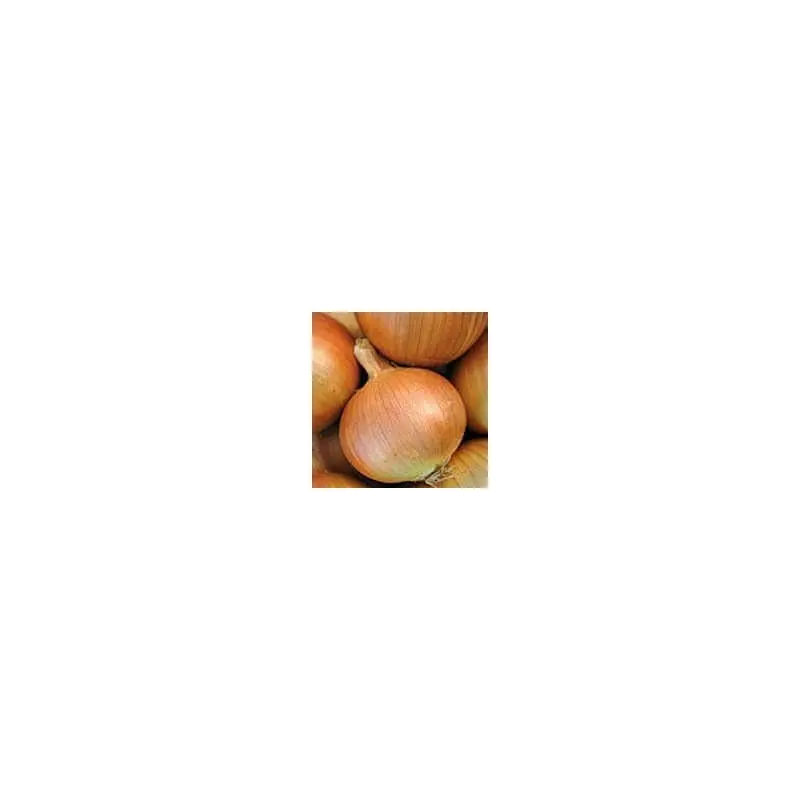 Yellow Sweet Spanish Onion Seeds