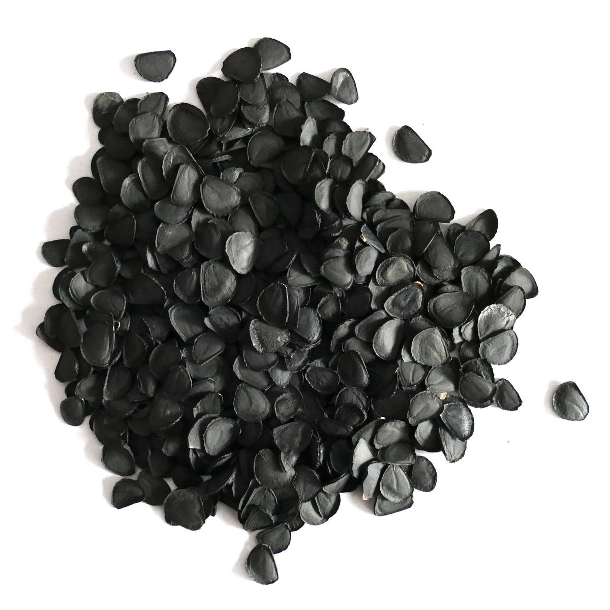 Yucca elata SEEDS - 1000 Seeds