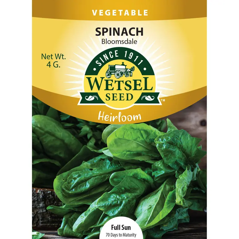 Wetsel Seed Heirloom Spinach Bloomsdale Seed