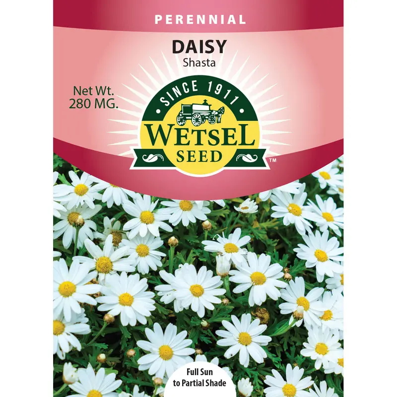 Wetsel Seed Shasta Daisy Seed