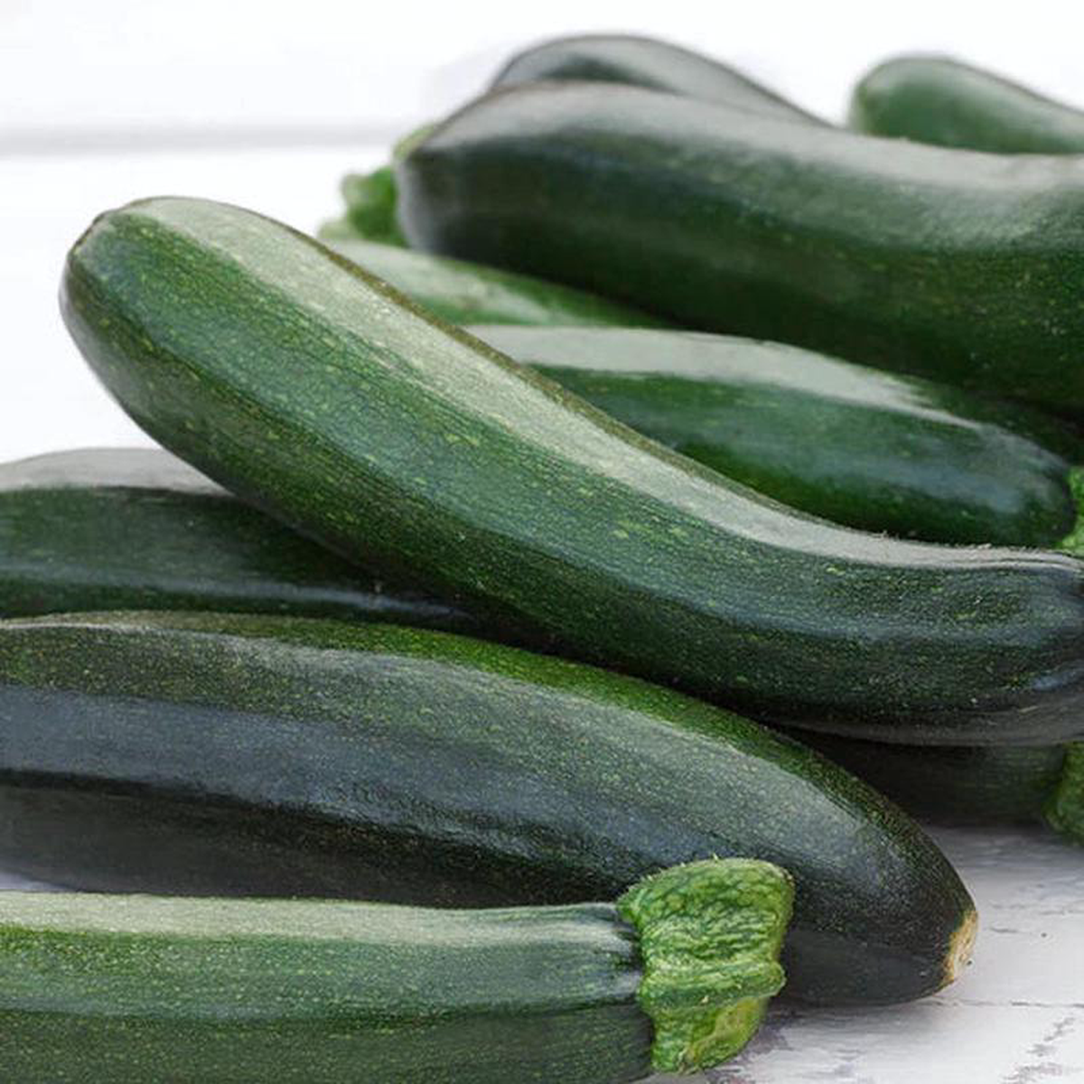 Zucchini (Courgette) Midnight F1 8211 Mr Fothergill8217s Seeds