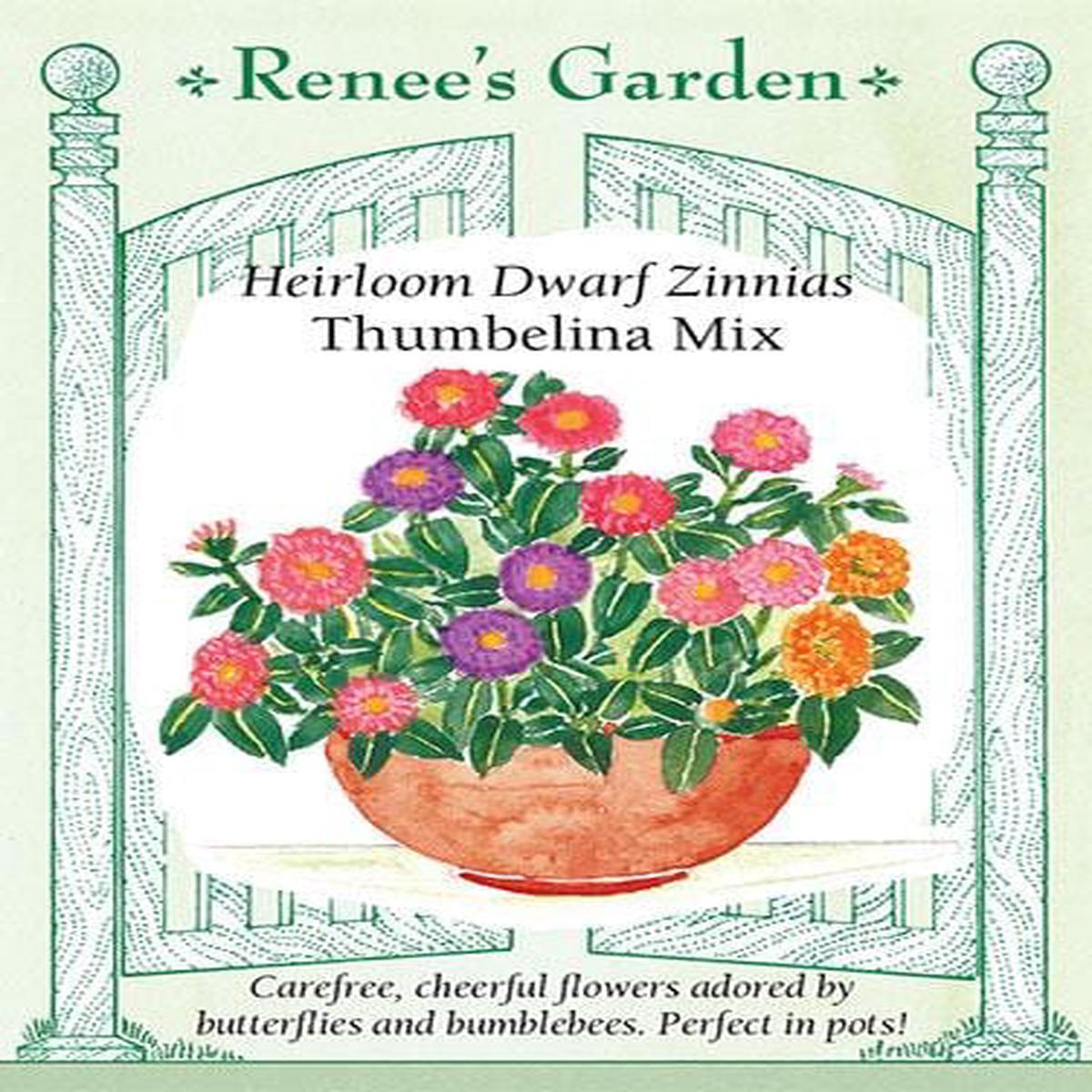 Zinnia Thumbelina Mix - Renee's Garden