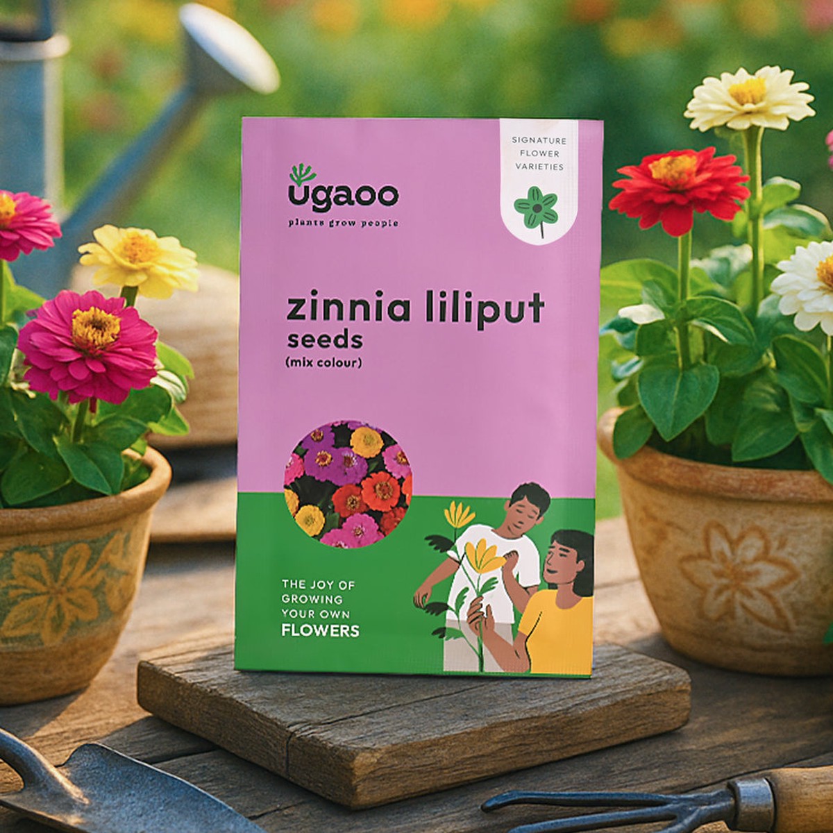 Zinnia Lilliput Mix Seeds