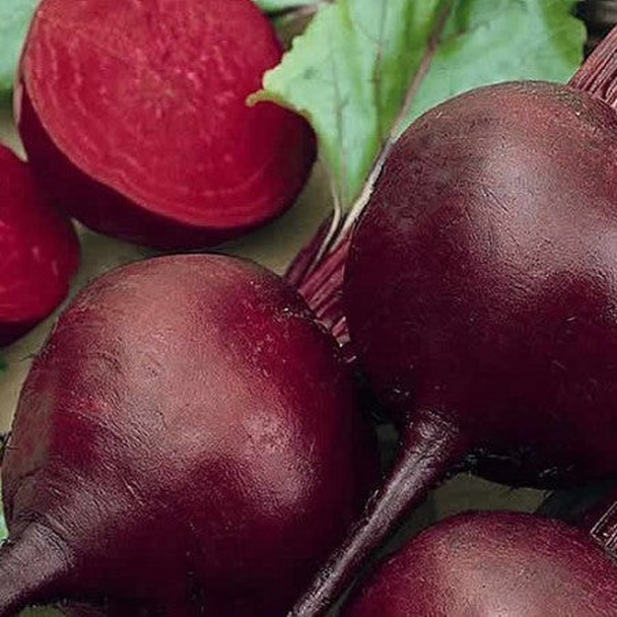 'Detroit 2 Dark Red' Beetroot