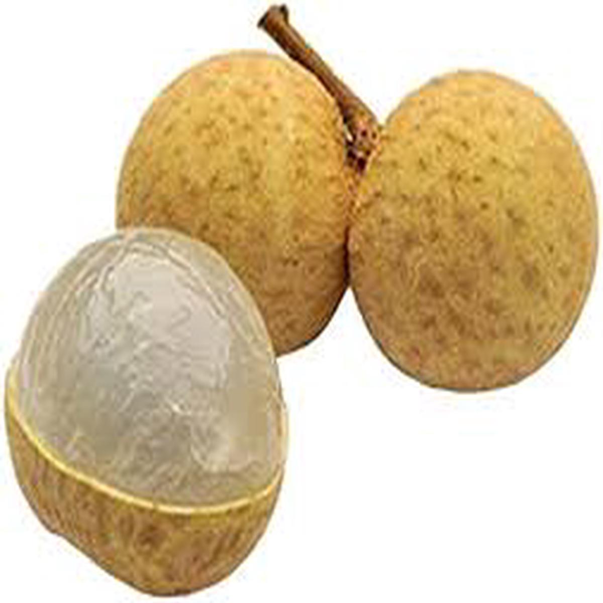Dragons Eye Fruit Seeds for Planting  Exotic, Sweet Longan Fruits for Your Garden, Heirloom & Non-GMO Seeds