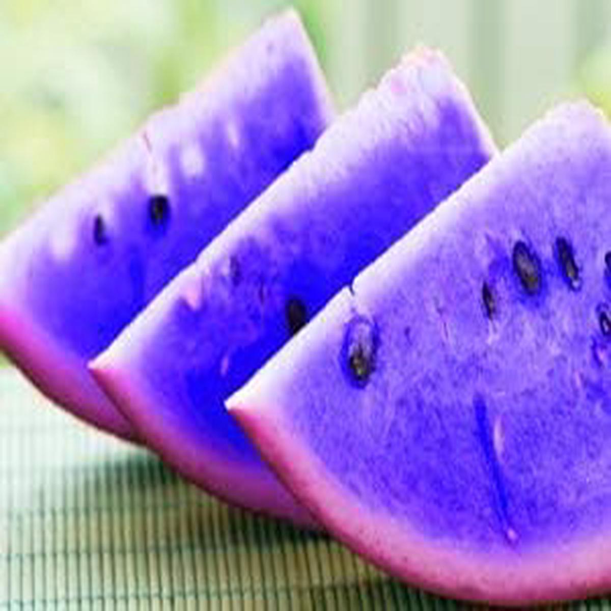 Violet Watermelon Fruit Seeds for Planting Unique Heirloom, Non-GMO Seeds with Violet Spots, High Germination Organic Garden Seeds