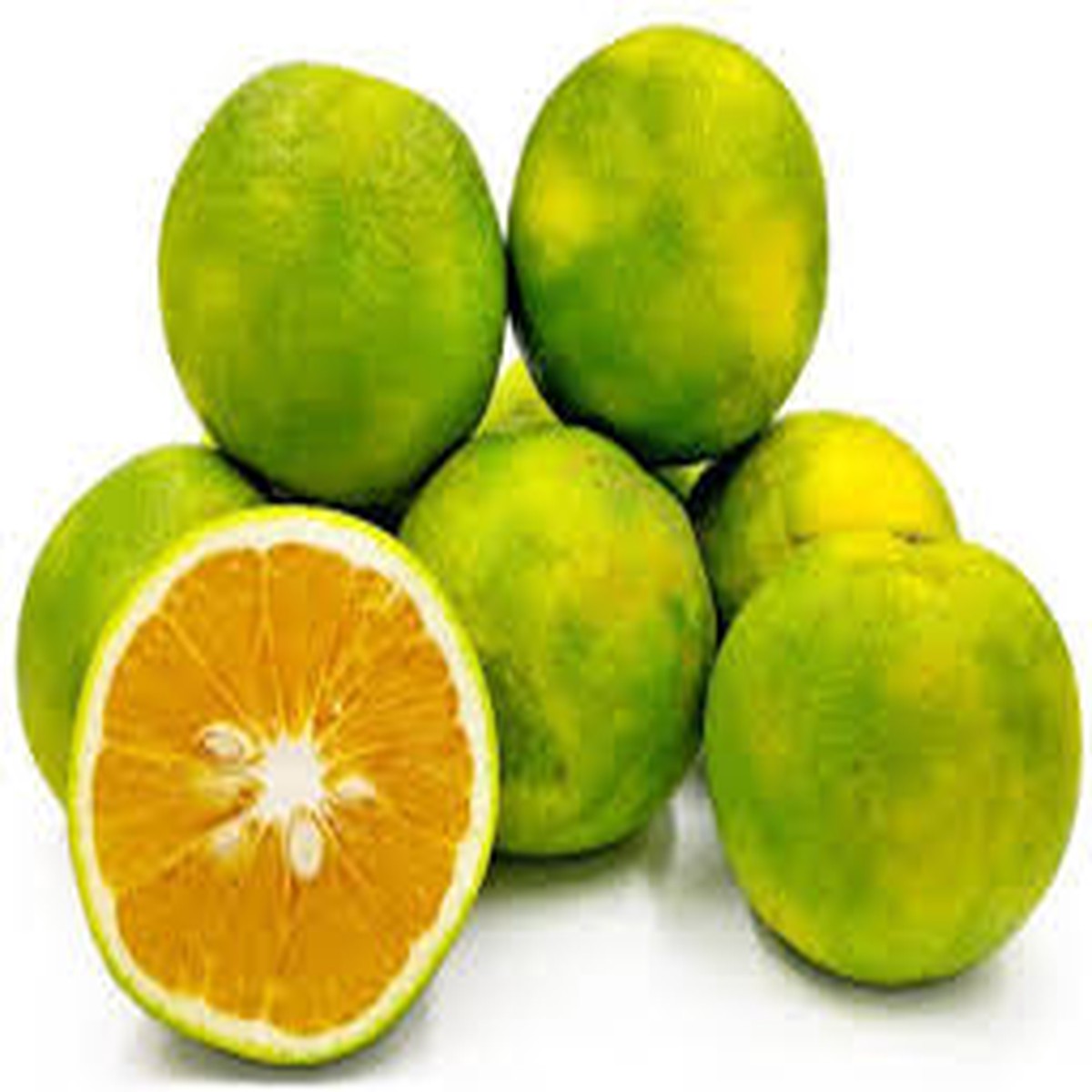 Citrus Limetta Fruit Seeds for Planting Refreshing, Juicy Citrus, Heirloom, High Germination, Non-GMO Organic Garden Seeds