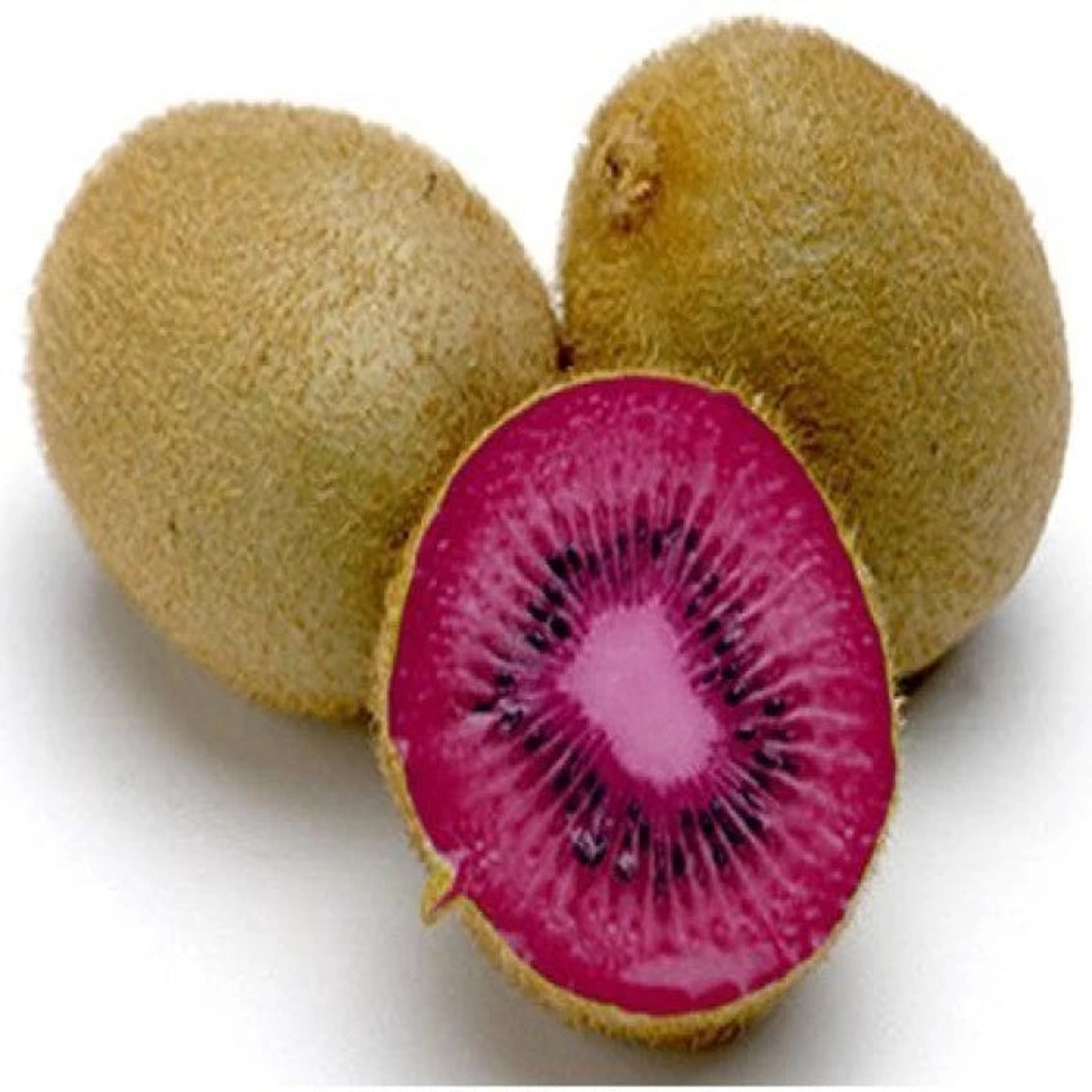 Pink Kiwi Fruit Seeds for Planting  Heirloom, Non-GMO, High Germination Organic Garden Seeds for Hardy, Self-Fertile Kiwi Vines