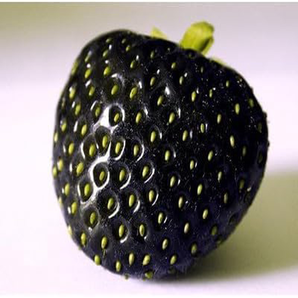 Strawberry Fruit Seeds for Planting  Juicy Red Berries, Heirloom & Non-GMO, High Germination Seeds