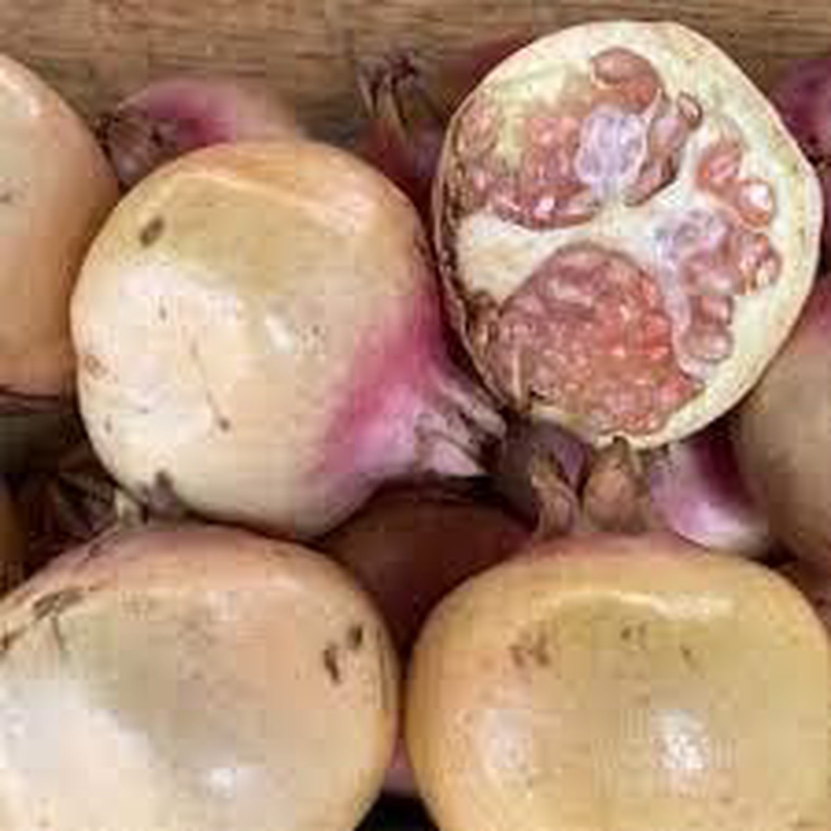 White Pomegranate Fruit Seeds for Planting  Grow Sweet, Tangy Pomegranates, Heirloom & Non-GMO Seeds for Home Garden