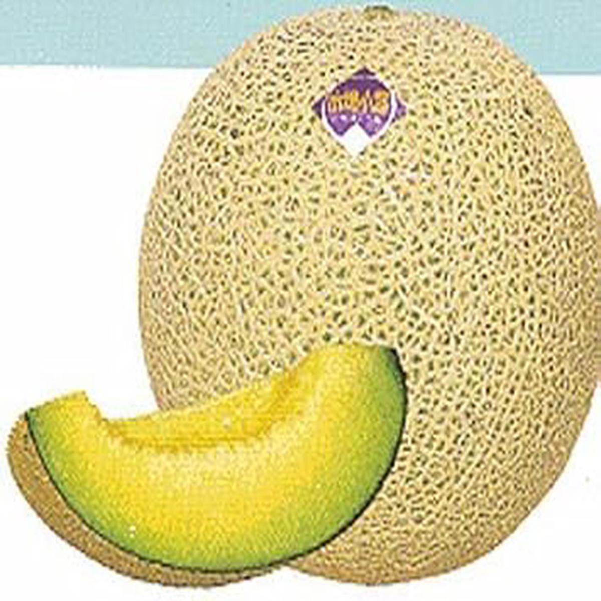 Yellow Ichiba Kouji Fruit Seeds for Planting | Heirloom Non-GMO Organic Seeds for Exotic, Delicious Fruits