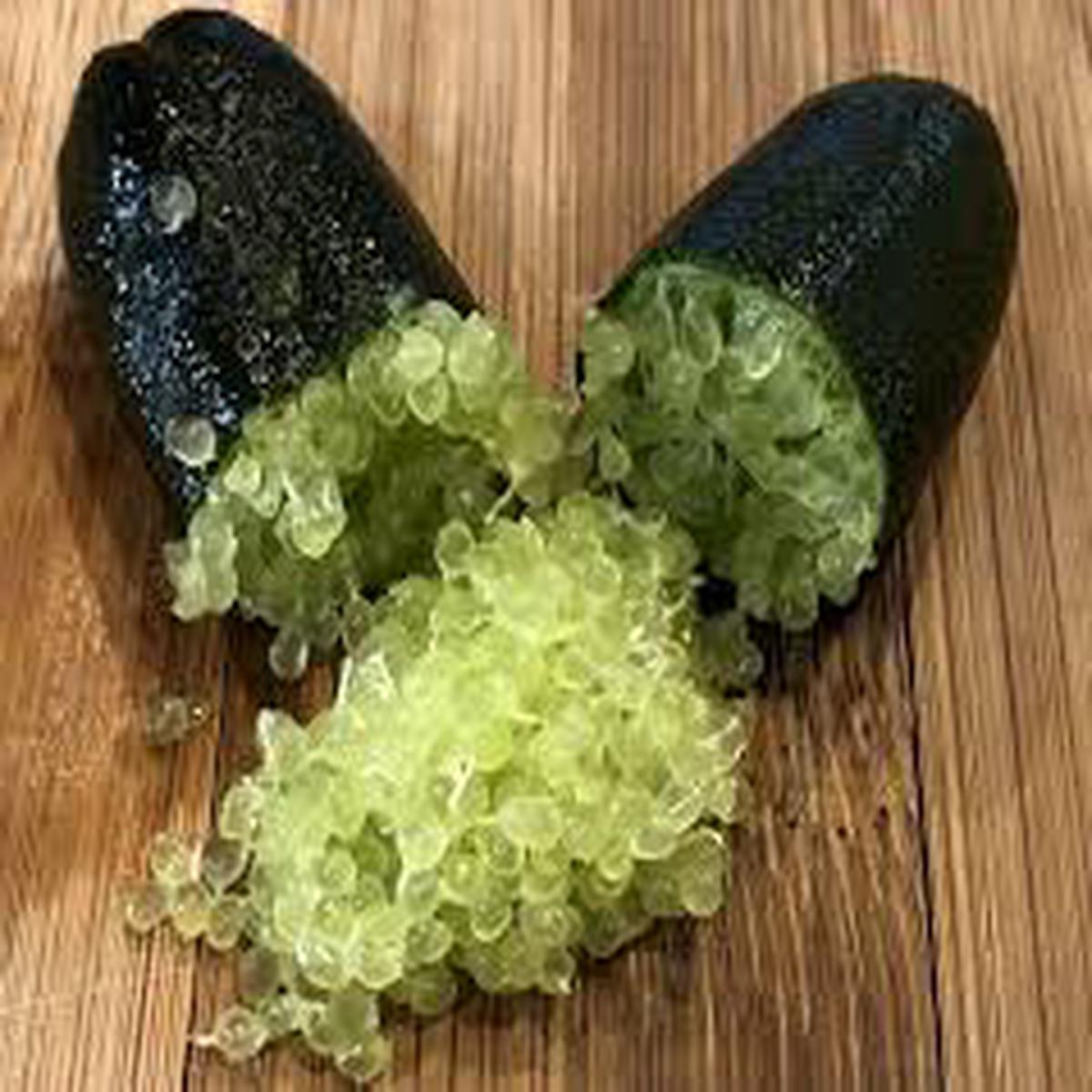 Emerald Green Finger Lime Plant Seeds for Planting Heirloom, Non-GMO, High Germination Organic Garden Seeds for Unique, Tangy Limes