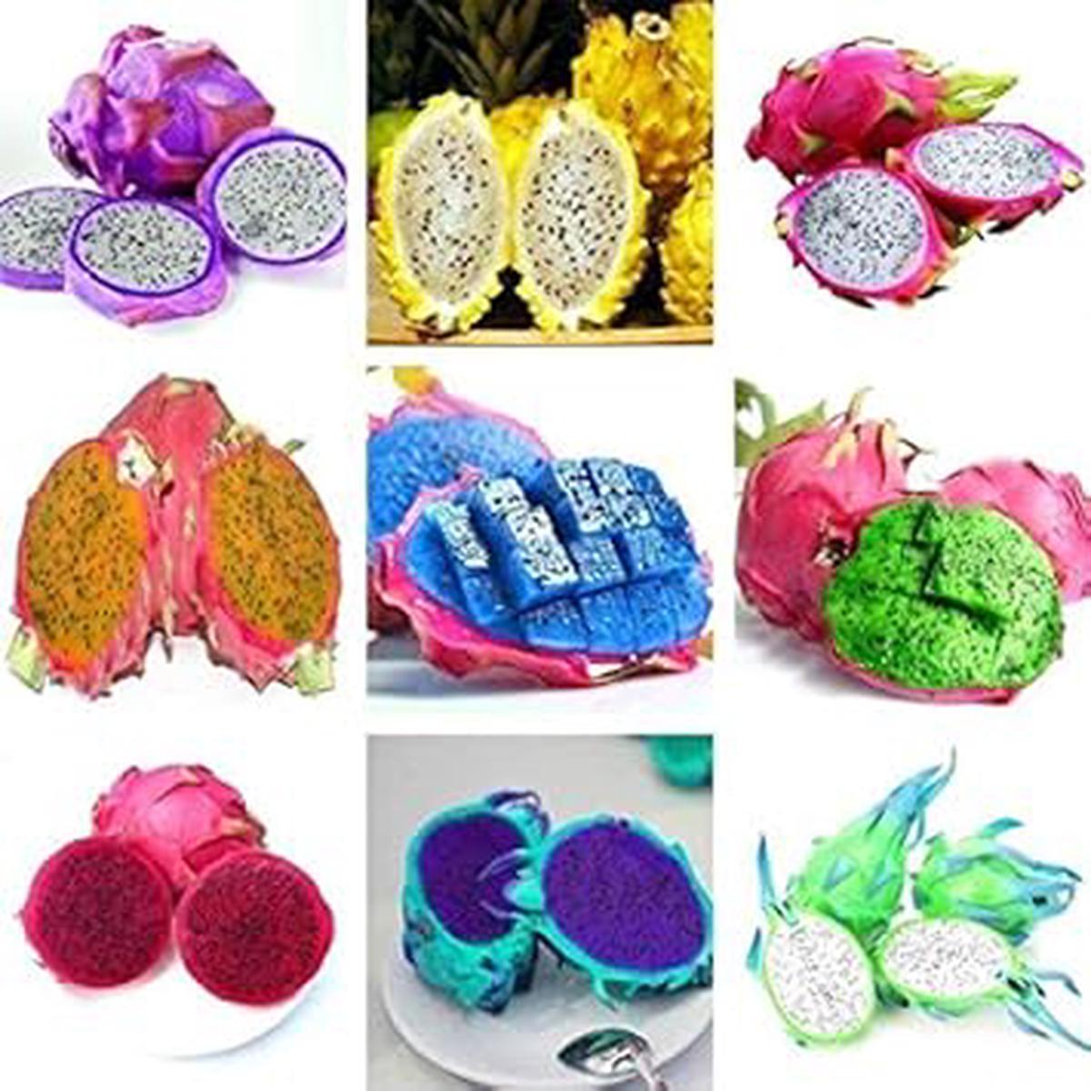 Fresh Light Green Pitaya Fruit Seeds for Planting  Easy to Grow, Heirloom, Non-GMO, High Germination Organic Garden Seeds