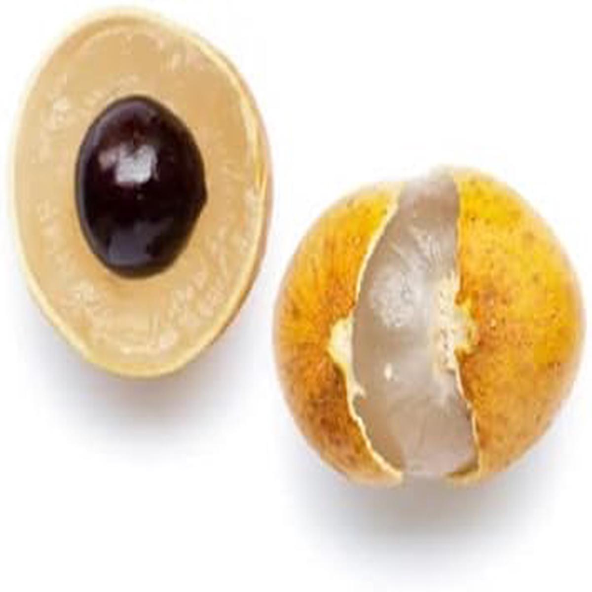 Golden Yellow Longan Fruit Seeds  Heirloom, Non-GMO, High Germination Organic Garden Seeds for Planting Rare Tropical Fruits