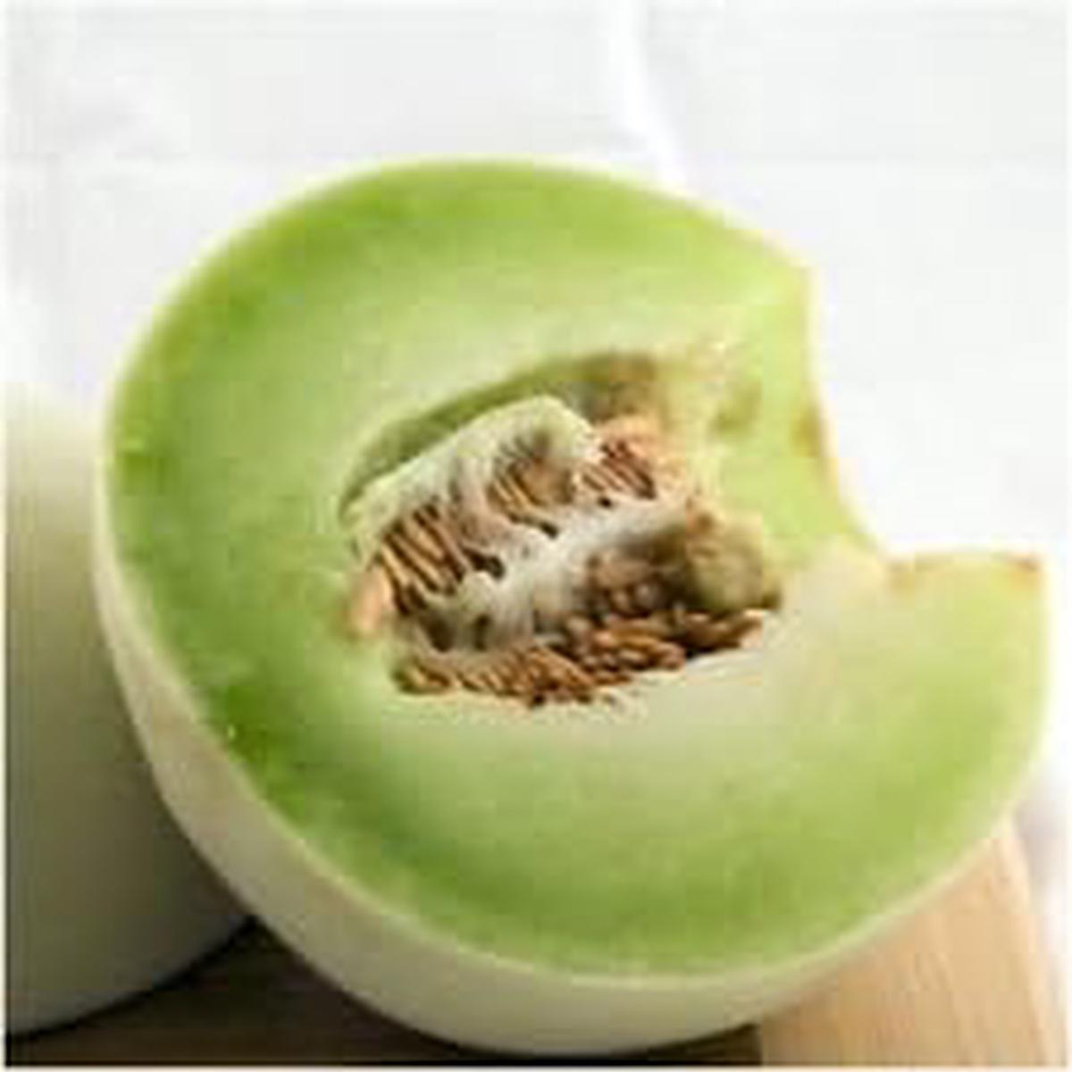 Green Honeydew Melon Seeds for Planting | Heirloom Non-GMO Organic Garden Seeds for Sweet, Crisp Melons