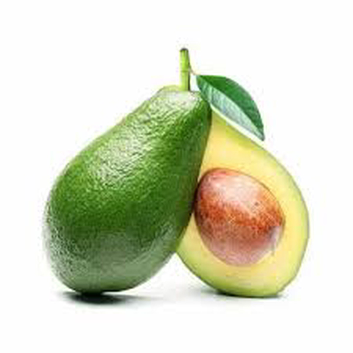 Heirloom Avocado (Butter Fruit) Seeds for Planting Organic & Non-GMO Seeds for Backyard Garden