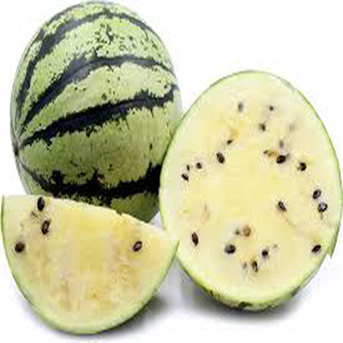 Japanese White Watermelon Seeds for Planting Heirloom, Non-GMO, High Germination Organic Garden Seeds for Vibrant, Juicy, Citrus-Flavored Melons