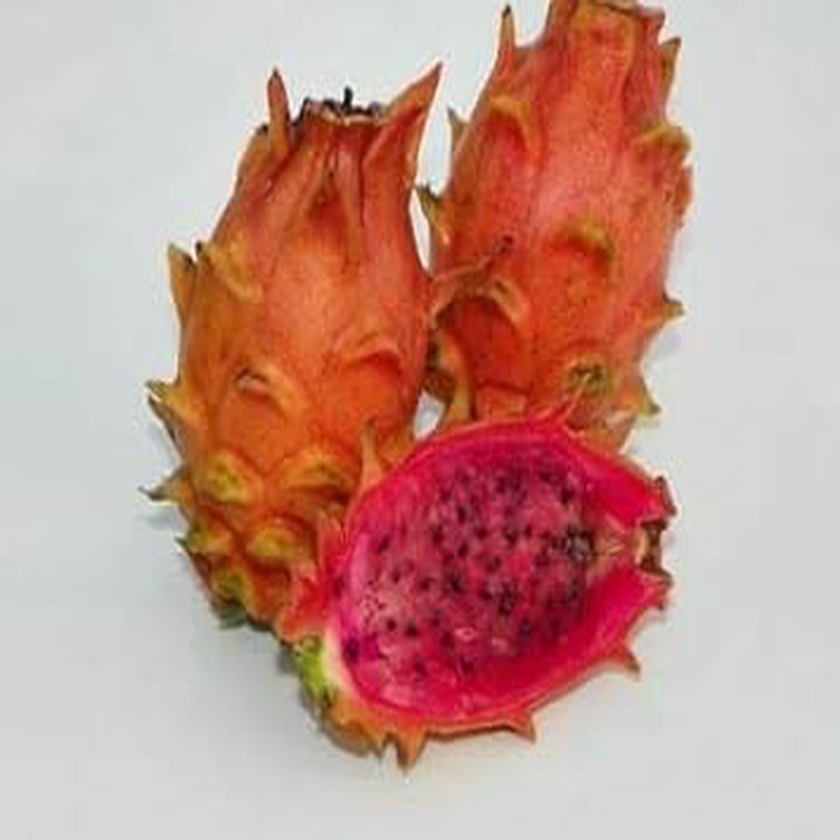 Light Orange Pitaya Fruit Seeds for Planting  Heirloom, Non-GMO, High Germination, Organic Garden Seeds