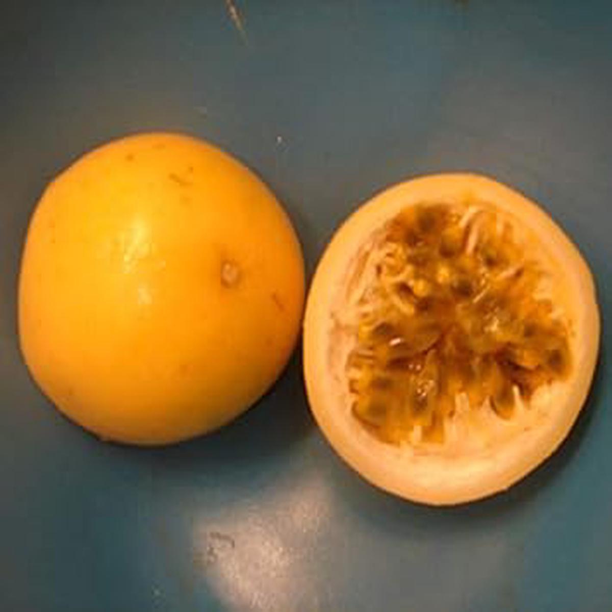Orange Passion Fruit Seeds for Planting  Heirloom, High Germination, Non-GMO Organic Garden Seeds