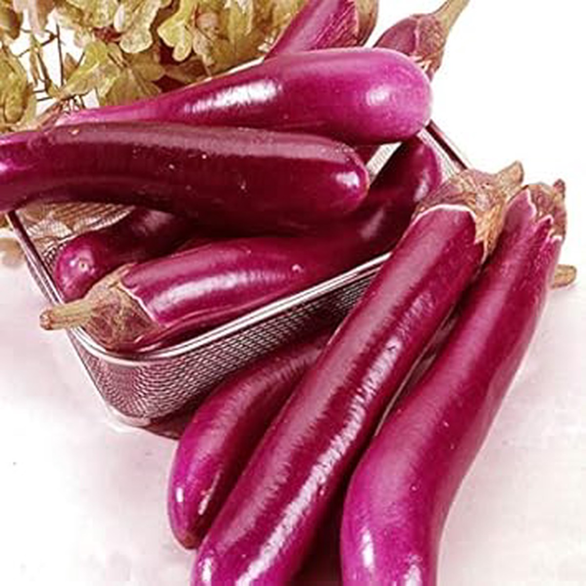 Purple Eggplant Sweet Seeds for Planting Heirloom, Non-GMO, High Germination Organic Garden Seeds