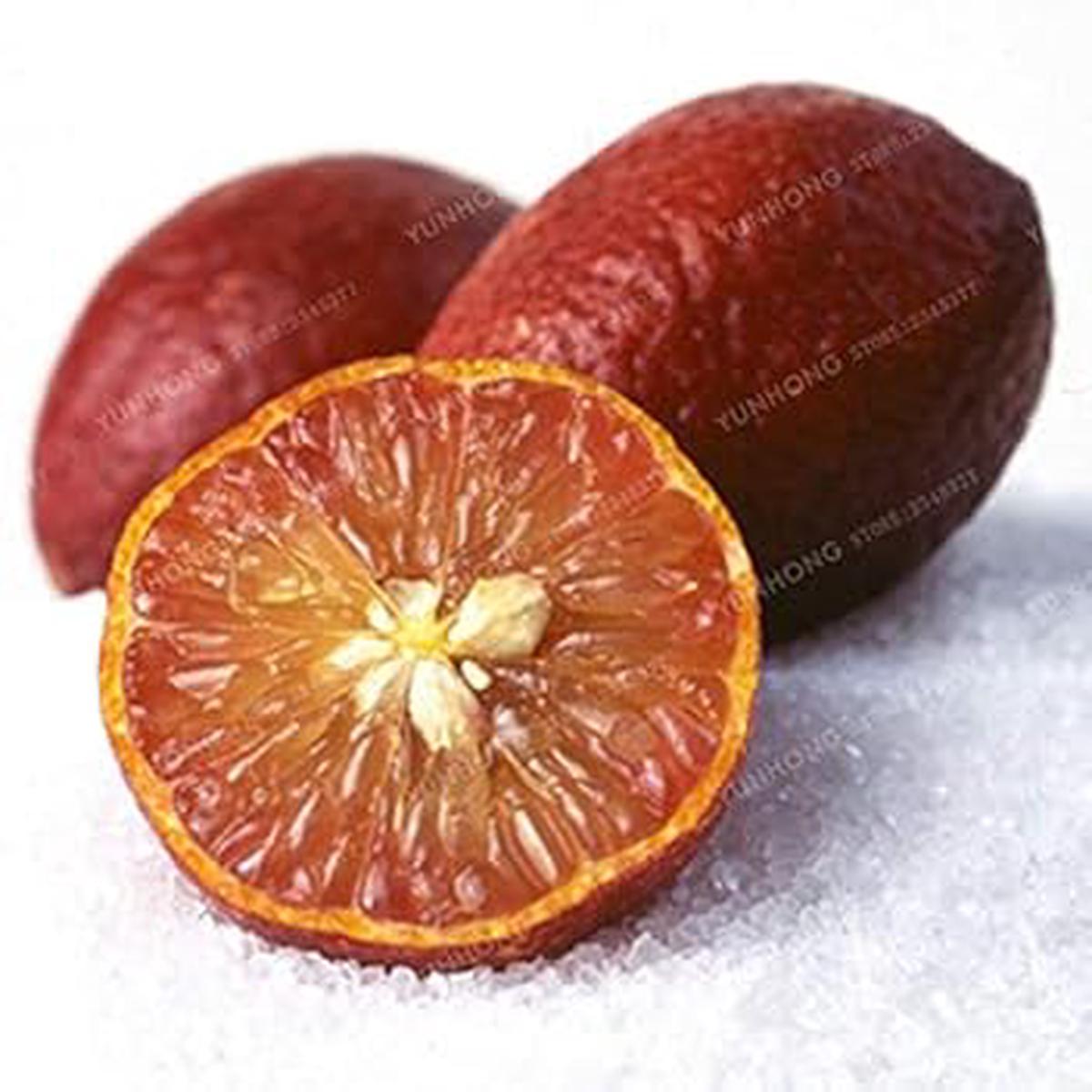 Red Lemon Fruit Seeds for Planting  Heirloom, Non-GMO, High Germination Organic Garden Seeds