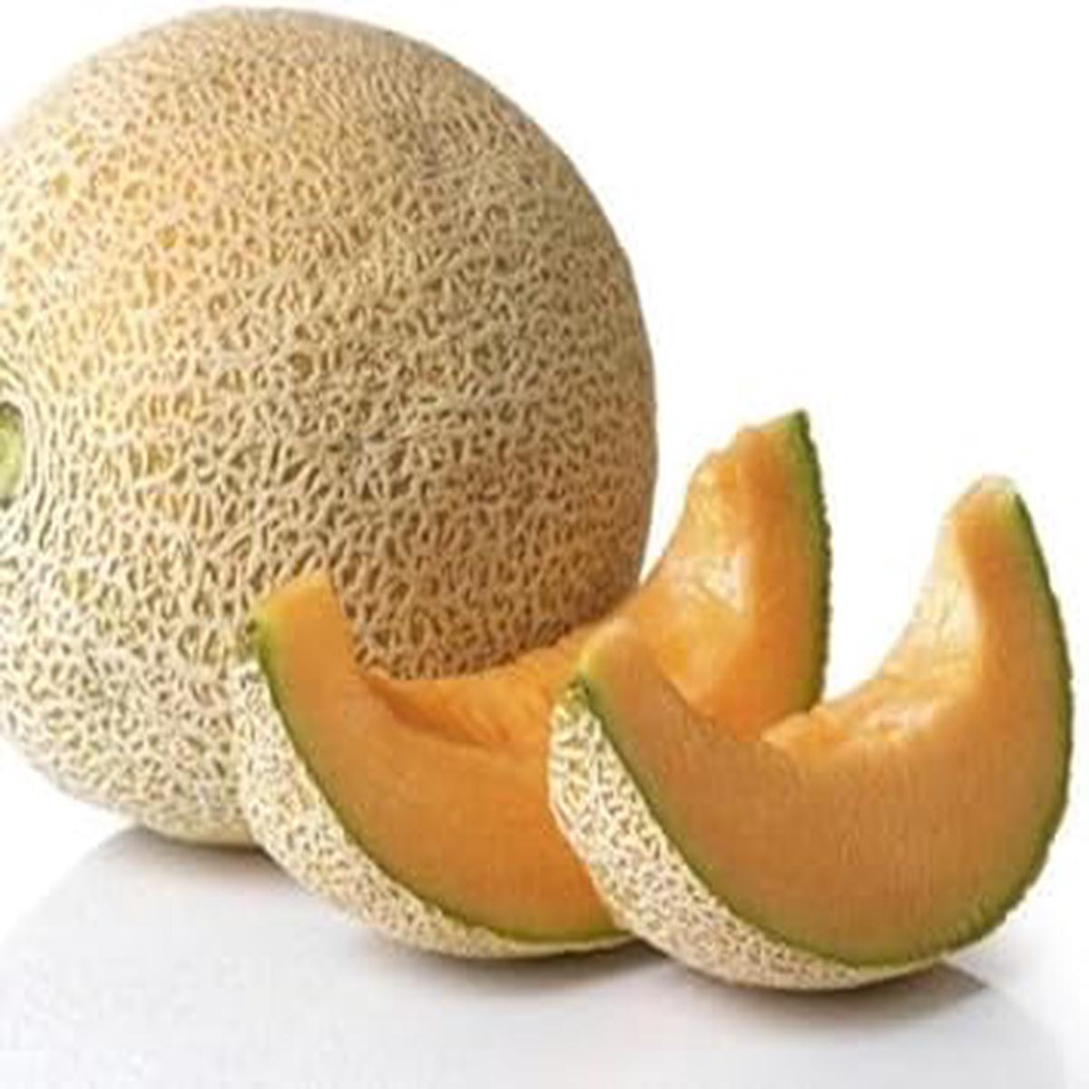 Yellow Cantaloupe Fruit Seeds for Gardening  Non-GMO Heirloom Melon Seeds for Home Garden
