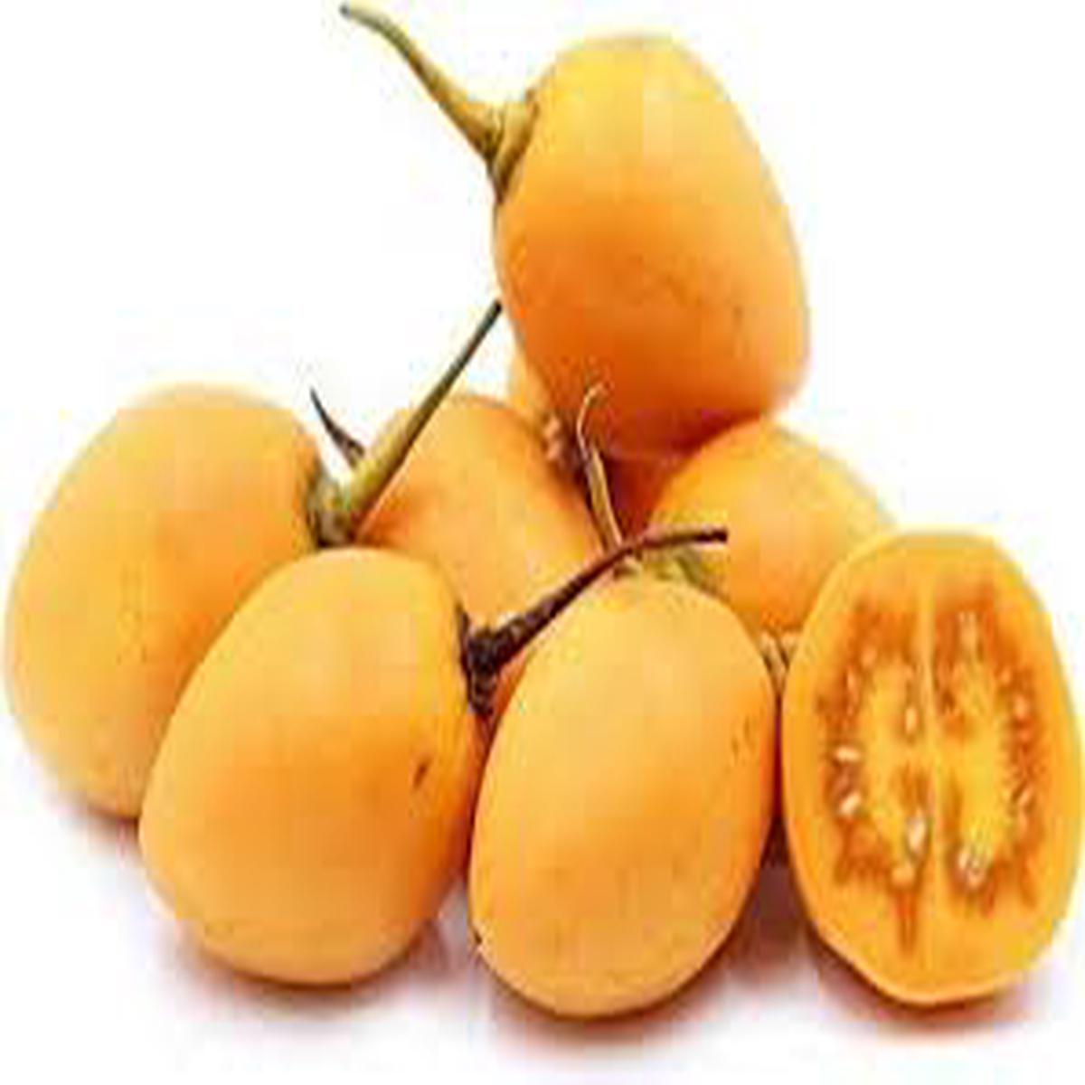 Yellow Tamarillo Fruit Seeds for Planting  Exotic Tropical Tree, Heirloom & Non-GMO Seeds for Your Garden