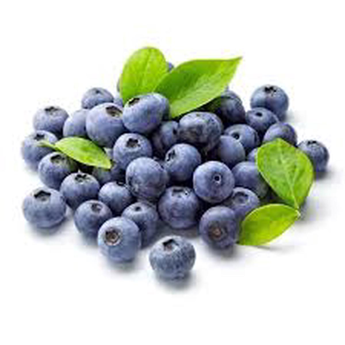 Blueberry Fruit Seeds for Planting  Delicious Berry Harvests, Heirloom & Non-GMO, Organic High Germination Seeds