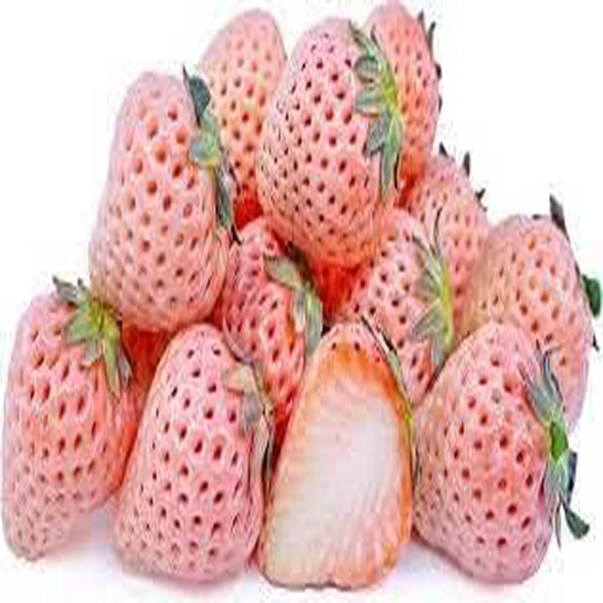 Bright Orange Strawberry Fruit Seeds  Rare, Juicy Treat for Garden Enthusiasts (100 pcs)