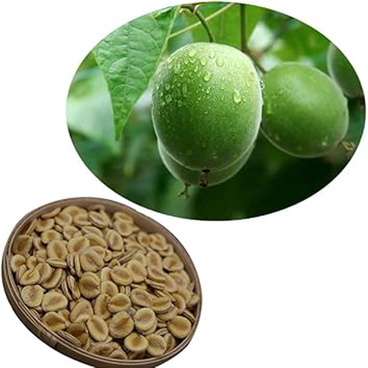 LuoHan Guo Fruit Seeds Natural Sweetener & Medicinal Plant