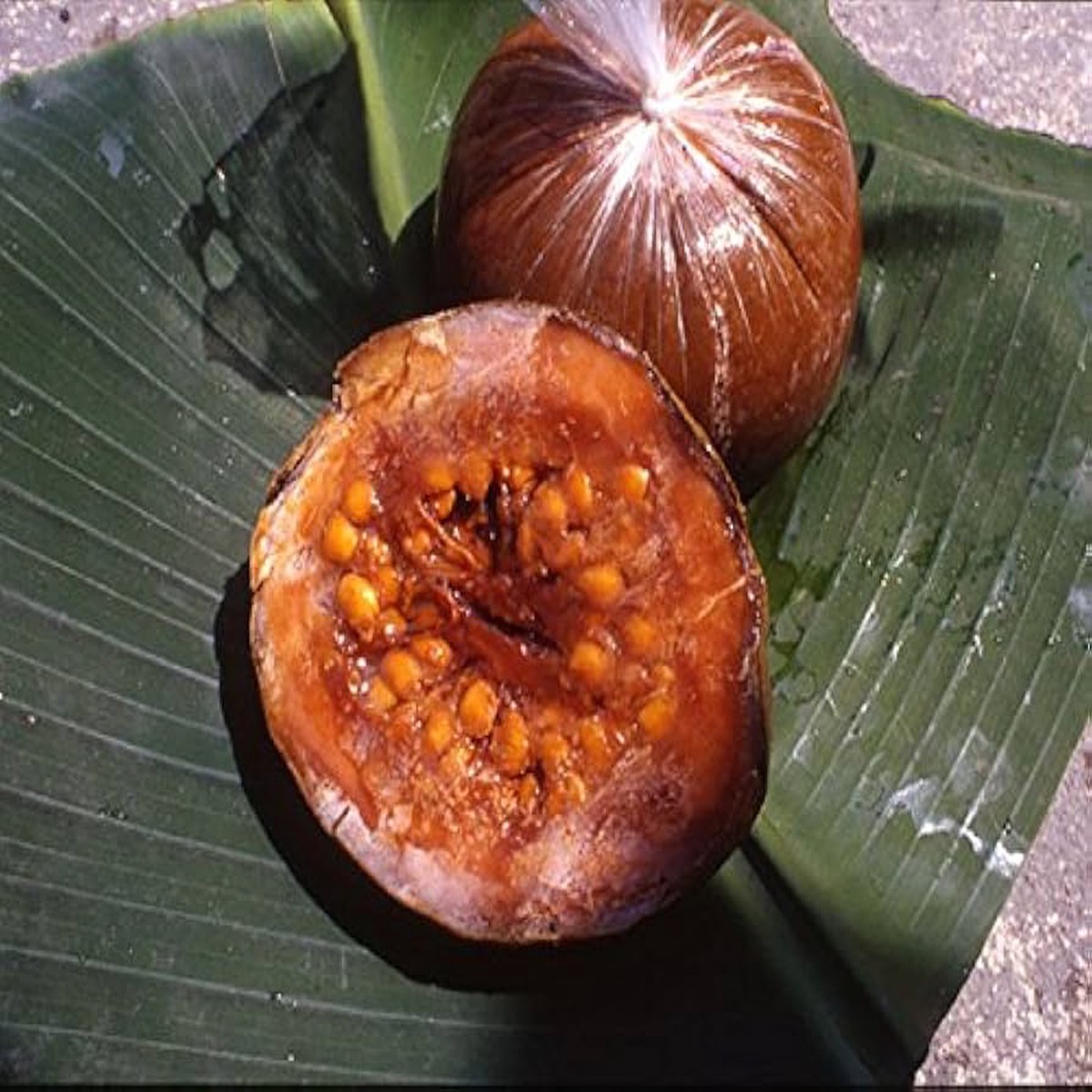 Patinoi Borojoa Seeds Grow Rare Exotic Fruit Trees for Tropical Gardens