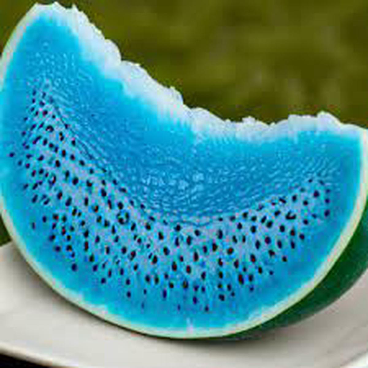 Sky Blue Watermelon Fruit Seeds for Planting Easy to Grow, High-Yielding, Heirloom, Non-GMO Organic Garden Seeds