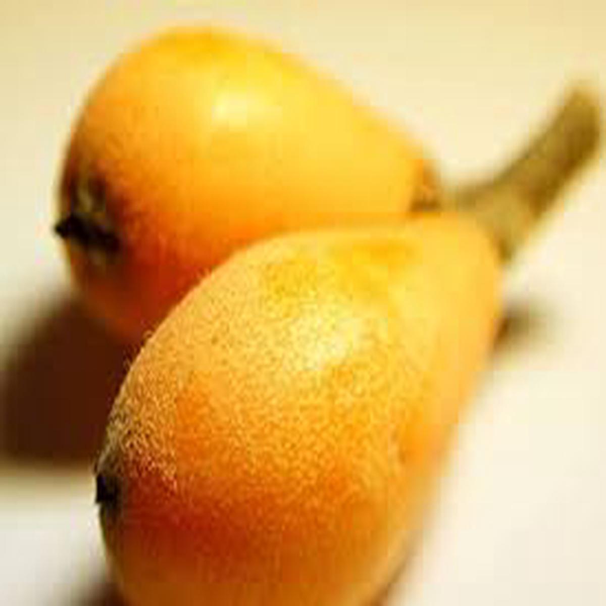 Tanaka Loquat Tree Seeds for Planting Heirloom, Non-GMO, High Germination Organic Garden Seeds for Hardy, Rare Fruit Trees