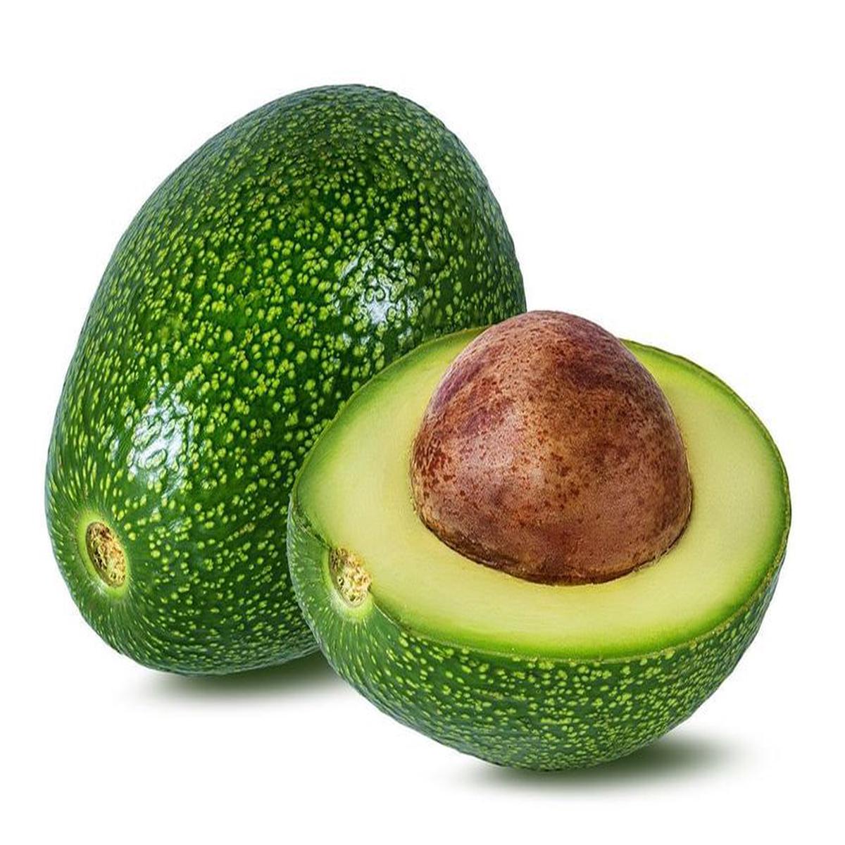 Wurtz (Littlecado) Avocado Seeds Fruit Seeds for Planting  Heirloom Non-GMO High Germination Organic Garden Seeds