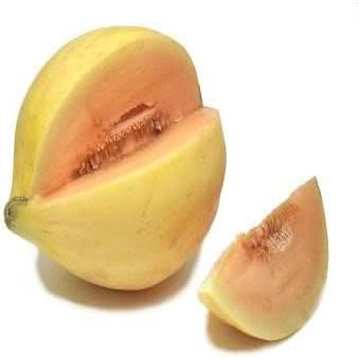 Yellow Cucumis Melo Fruit Seeds for Planting | Heirloom Non-GMO Organic Seeds for Sweet, Refreshing Garden Melons