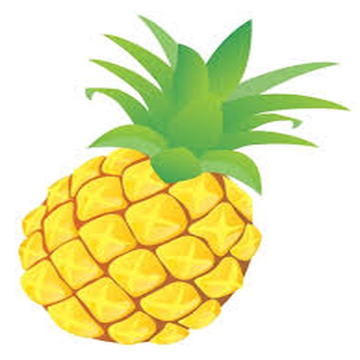 Yellow Pineapple Fruit Seeds for Planting Start Your Own Pineapple Garden, Heirloom & Non-GMO Seeds for Home Garden