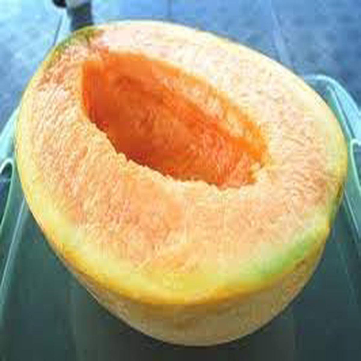 Yubari Melon Seeds for Planting  Rare, Sweet Melon, Heirloom, High Germination, Non-GMO Organic Garden Seeds
