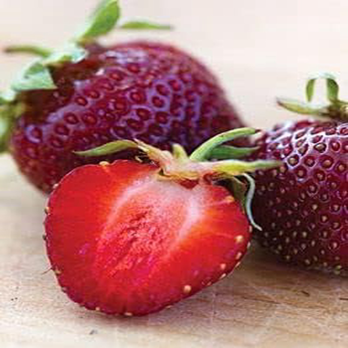 Burgundy Strawberry Fruit Seeds for Planting  Heirloom Non-GMO High Germination Organic Garden Seeds