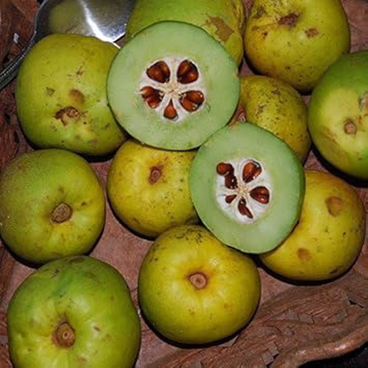 Chaenomeles Fruit Seeds for Planting | Heirloom Non-GMO Organic Seeds for Ornamental, Tangy Garden Fruits