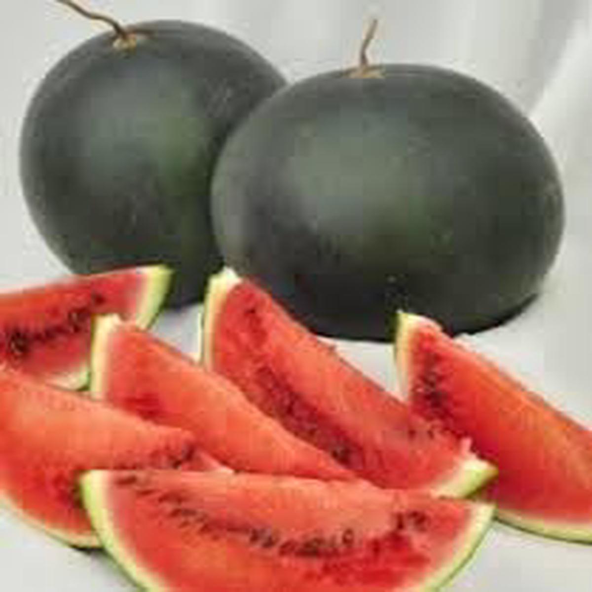 Densuke Watermelon Fruit Seeds for Planting Heirloom Non-GMO High Germination Organic Garden Seeds