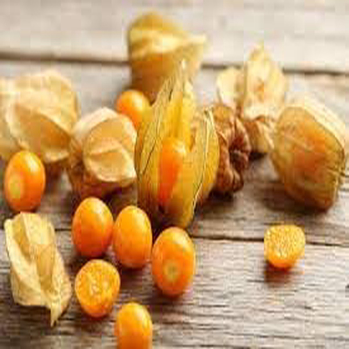 Gooseberry Seeds Grow Tart & Flavorful Berries