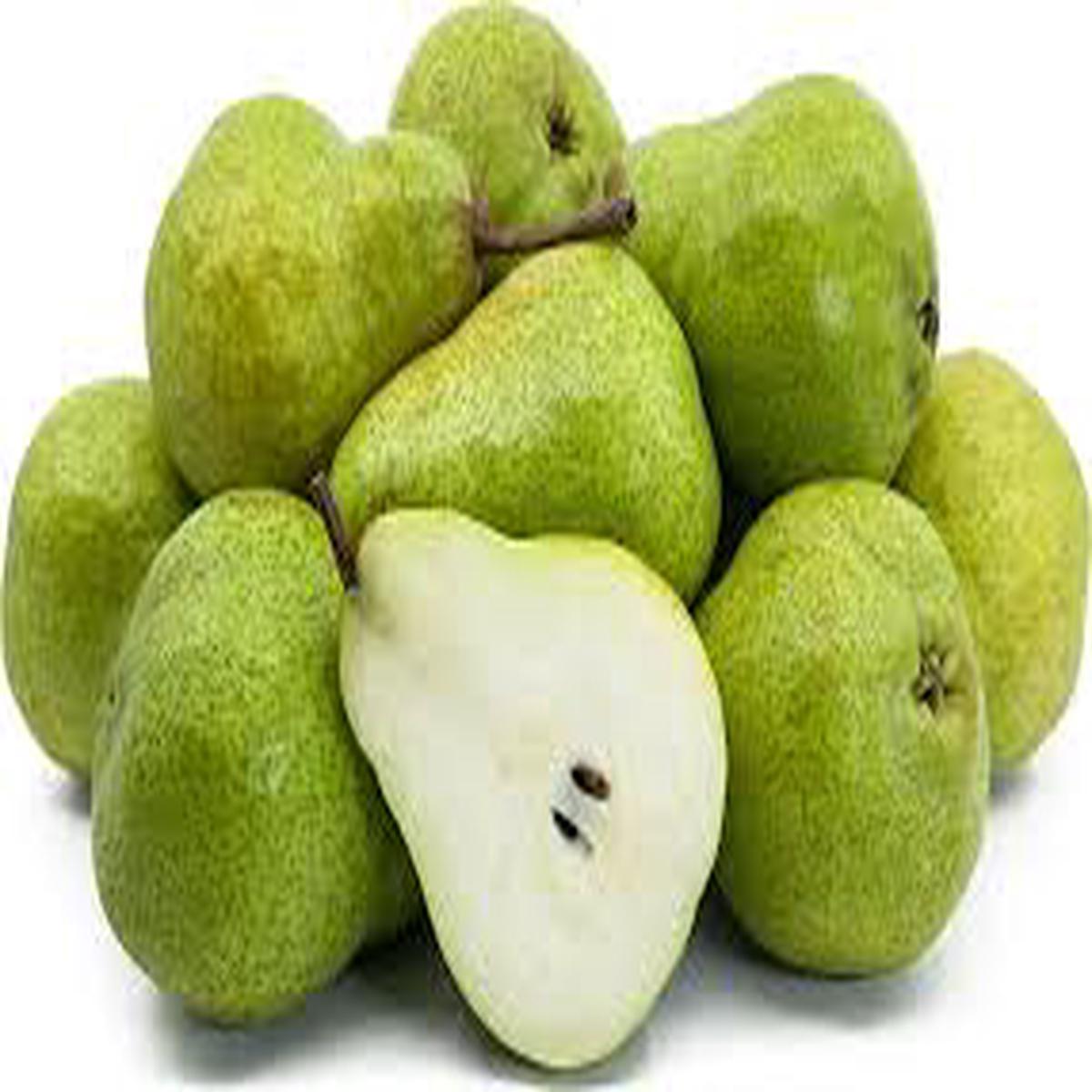 Packhams Triumph Pear Seeds for Planting  Green, Lumpy & Extra Sweet, Heirloom & Non-GMO Seeds