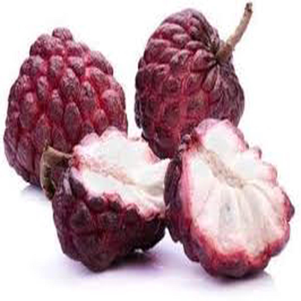 Red Custard Apple Tree Seeds for Planting  Heirloom Non-GMO High Germination Organic Garden Seeds